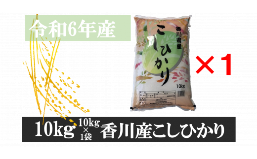 996-7　令和6年産香川県産こしひかり　10ｋｇ×1　紙袋配送【7月配送】 783709 - 香川県三木町