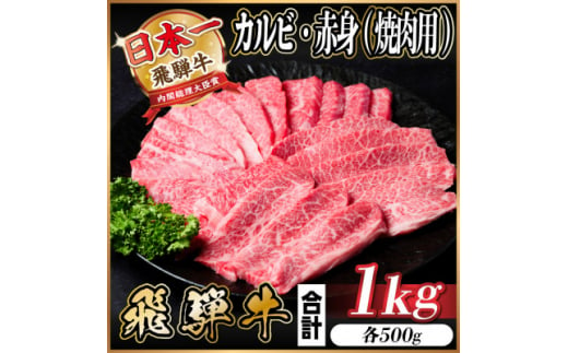 飛騨牛 カルビ・赤身(焼肉用)1kg(各500g)【1543764】