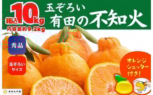 不知火 (しらぬい) 秀品 玉ぞろい 箱込 10kg (内容量約9.2kg)  和歌山県産 産地直送［みかんの会］