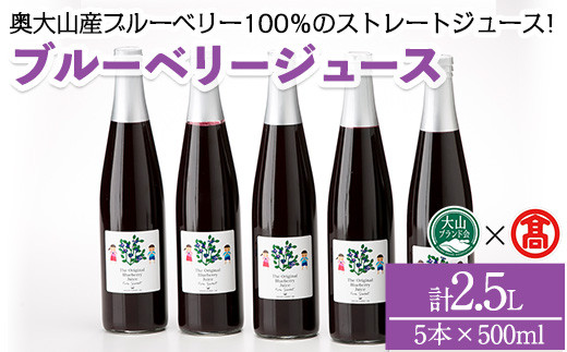 ブルーベリージュースセット(計2.5L)【T-BI2】【大山ブランド会】 1482427 - 鳥取県境港市