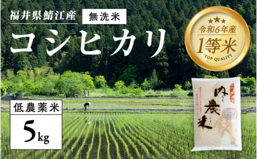 【令和6年産の新米！】福井県産 内農米 コシヒカリ 無洗米 5kg [B-00521] / こしひかり 有機栽培 白米 新米 白米 精米 ご飯 コメ ごはん ライス 産地直送 鯖江市 381628 - 福井県鯖江市