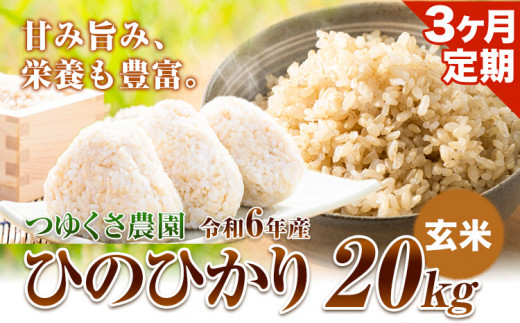 【3ヶ月定期便】新米 令和6年産 ひのひかり 玄米20kg 熊本県荒尾市産 つゆくさ農園 《お申込み月の翌月から出荷開始》 800558 - 熊本県荒尾市