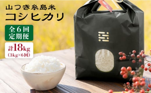 【 6回 定期便 】 糸島 で 農薬 を使わずに育てた山つき 糸島米 3kg （ コシヒカリ ）《 糸島 》【株式会社やました】 [ARJ013] 408175 - 福岡県糸島市