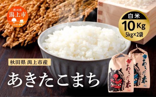 《令和6年産　新米》秋田県産あきたこまち（５kg×２）精米 690327 - 秋田県潟上市