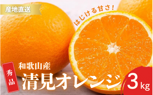 [先行予約]秀品 きよみ 清見オレンジ 和歌山 有田 S〜2Lサイズ 大きさお任せ 3kg[2月中旬〜3月下旬頃に順次発送]/ みかん フルーツ 果物 くだもの 蜜柑 柑橘[ktn039]