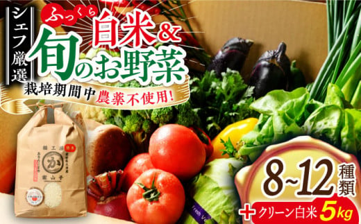 オーガニック旬野菜+クリーン白米【ふるさと納税限定】