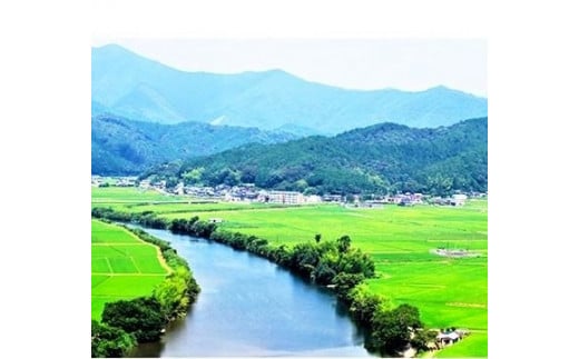 高南台地は、昼夜の寒暖の差が大きく、冷涼地で夏には霧がかかります。
特有の自然条件と清流四万十川の清らかな水で育ちます