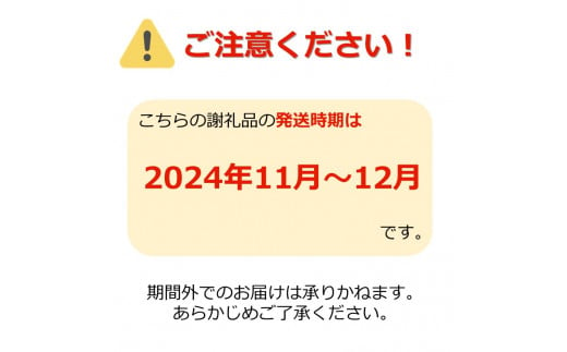 山形県長井市のふるさと納税 【2024年11月～12月発送分先行受付】ご家庭用訳ありリンゴ（サンふじ）約10kg_H085(R6)