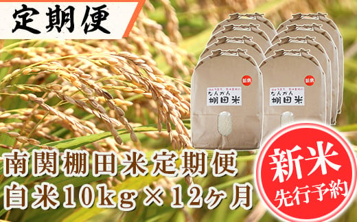 【令和6年産】<定期便>南関棚田米 白米 10kg×12ヶ月 精米 熊本県 南関町産 単一原料米 ヒノヒカリ 産地直送 コメ お米 ごはん