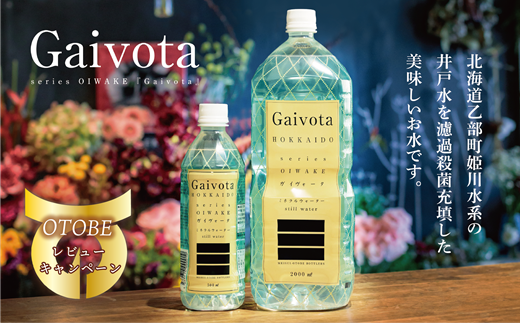 北海道乙部町のふるさと納税 ＜Gaivota 1箱（500ml×24本/箱）+1箱（2L×6本/箱＞北のハイグレード食品 天然シリカ水  ミネラルウォーター  軟水 北海道産 北海道 乙部町 天然水 美容 ケイ素 無添加 シリカ ガイヴォータ 美肌 ミネラル 口当たり まろやか 備蓄 災害用 非常用