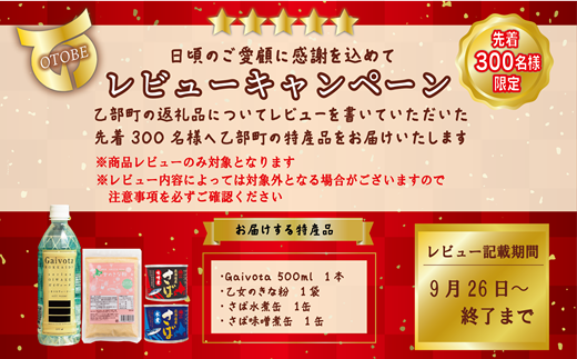 北海道乙部町のふるさと納税 ＜Gaivota 1箱（500ml×24本/箱）+1箱（2L×6本/箱＞北のハイグレード食品 天然シリカ水  ミネラルウォーター  軟水 北海道産 北海道 乙部町 天然水 美容 ケイ素 無添加 シリカ ガイヴォータ 美肌 ミネラル 口当たり まろやか 備蓄 災害用 非常用