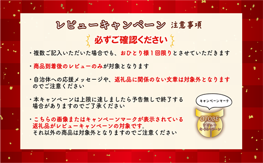 北海道乙部町のふるさと納税 ＜Gaivota 1箱（500ml×24本/箱）+1箱（2L×6本/箱＞北のハイグレード食品 天然シリカ水  ミネラルウォーター  軟水 北海道産 北海道 乙部町 天然水 美容 ケイ素 無添加 シリカ ガイヴォータ 美肌 ミネラル 口当たり まろやか 備蓄 災害用 非常用