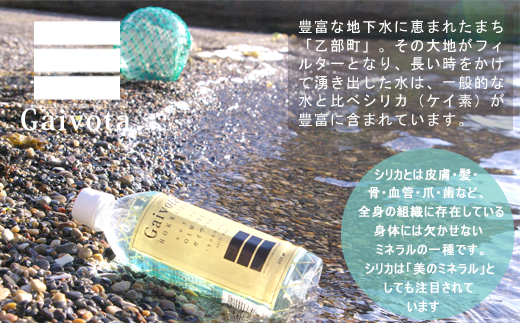 北海道乙部町のふるさと納税 ＜Gaivota 1箱（500ml×24本/箱）+1箱（2L×6本/箱＞北のハイグレード食品 天然シリカ水  ミネラルウォーター  軟水 北海道産 北海道 乙部町 天然水 美容 ケイ素 無添加 シリカ ガイヴォータ 美肌 ミネラル 口当たり まろやか 備蓄 災害用 非常用