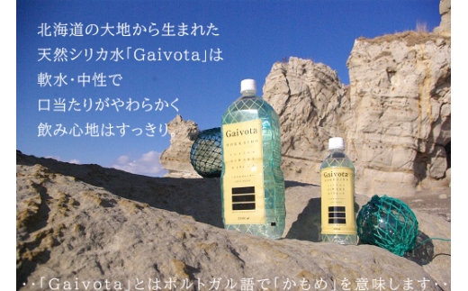 北海道乙部町のふるさと納税 ＜Gaivota 1箱（500ml×24本/箱）+1箱（2L×6本/箱＞北のハイグレード食品 天然シリカ水  ミネラルウォーター  軟水 北海道産 北海道 乙部町 天然水 美容 ケイ素 無添加 シリカ ガイヴォータ 美肌 ミネラル 口当たり まろやか 備蓄 災害用 非常用