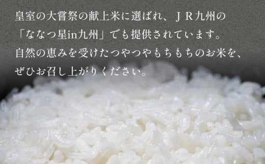 大分県玖珠町のふるさと納税 自慢の 玖珠米 「 ひとめぼれ 」 5kg 玖珠米 ひとめぼれ 5kg 白米 令和6年産 大分県 特別栽培米 特Aランク 米 自然 栽培 つや もちもち 盆地 寒暖差 赤土 肥沃な土壌 大嘗祭 献上米 JR九州 料理用 お取り寄せ 安全 食味ランキング