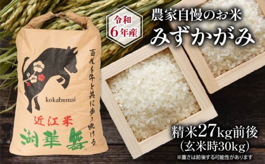 令和6年産 新米 農家自慢のお米 みずかがみ 精米 約27kg ( 2024年産 白米 お米 産地直送 農家直送 送料無料 滋賀県 竜王 ふるさと納税 )