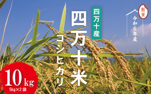 24-945．【令和6年産新米】四万十産 四万十米（コシヒカリ）10kg（5kg×2袋） 1005055 - 高知県四万十市