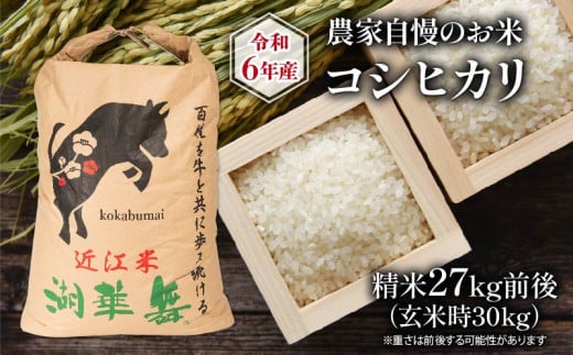 令和6年産 新米 農家自慢のお米 コシヒカリ 精米 約27kg ( 2024年産 白米 お米 産地直送 農家直送 送料無料 滋賀県 竜王町 ふるさと納税 ) 1096980 - 滋賀県竜王町