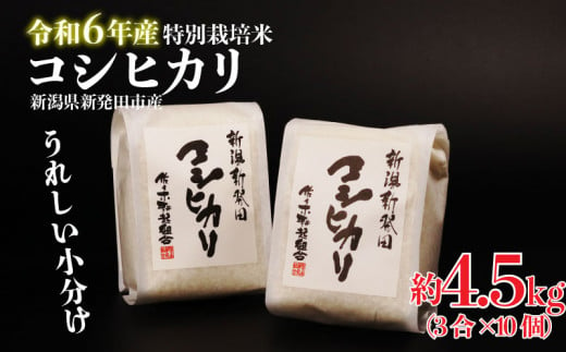 令和6年産 新潟県産 特別栽培米 コシヒカリ 3合×10袋 米 定期便 約4.5kg 精米 玄米 自宅用 家庭用 贈答用 使い切り ギフト お祝い 白米 お弁当 おにぎり ご飯 ごはん 人気 おすすめ 新潟県 新発田市 小分け