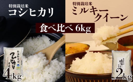 お米 食べ比べ コシヒカリ 2kg×2 ミルキークイーン 2kg×1 計6kg 3袋 令和6年度 新潟県産 お米 白米 ご飯 玄米 2kg 2袋 1袋 選べる おにぎり 弁当 個包装 小分け プレゼント ギフト 贈答 のし 新潟県 新発田市 新米 精米