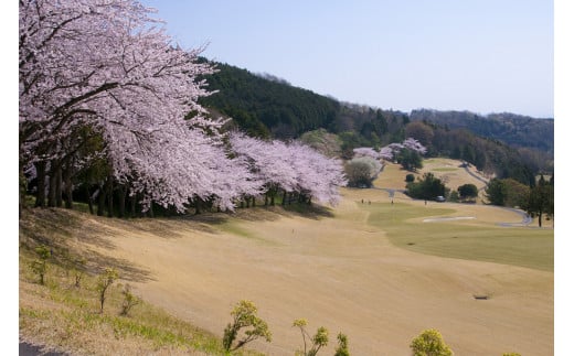 【太平洋クラブ相模コース】ゴルフ場利用券60,000円分（5,000円券×12枚）