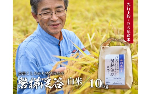 Aランク会津コシヒカリ特別栽培米「磐梯渓谷」 （減農薬栽培）（白米10kg） 新米