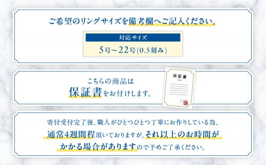 アメジスト リング 10ct 10カラット PT100 プラチナ100 大粒 16924 [山梨 リング 指輪 アメジスト ジュエリー ダイヤモンド]  山梨県 甲斐市 BR-13 - 山梨県甲斐市｜ふるさとチョイス - ふるさと納税サイト