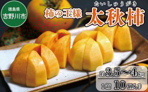太秋柿 3.5～4kg 2024年10月中旬～発送予定 先行予約！ 581189 - 徳島県吉野川市