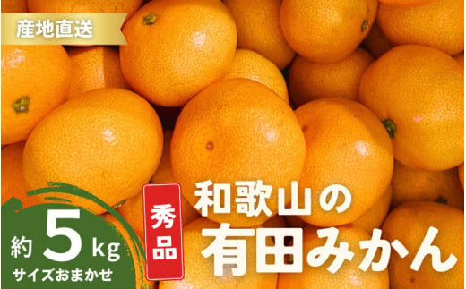 【10月発送】秀品 有田みかん 和歌山県産 S～Lサイズ 大きさお任せ 5kg / みかん フルーツ 果物 くだもの 有田みかん 蜜柑 柑橘【ktn002-10】 1469911 - 和歌山県串本町