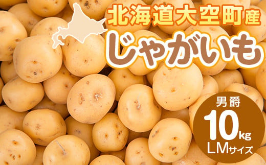 じゃがいも(男爵) LMサイズ 10kg 大空町産 【 ふるさと納税 人気 おすすめ ランキング じゃがいも ジャガイモ いも 芋 男爵 10kg LM サイズ カレー 北海道産 野菜 旬 北海道 大空町 送料無料 】 OSR012 1476325 - 北海道大空町