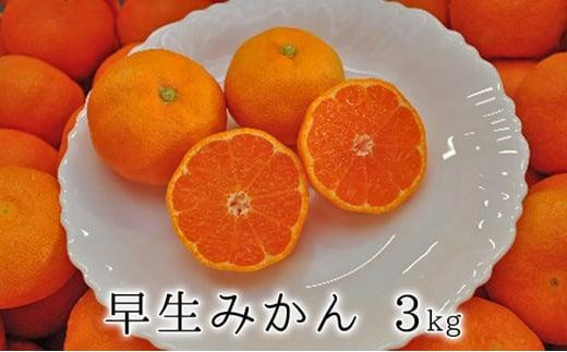 【2025年11月中旬より順次発送】秋の味覚　果汁たっぷり　早生みかん3kg★★◆