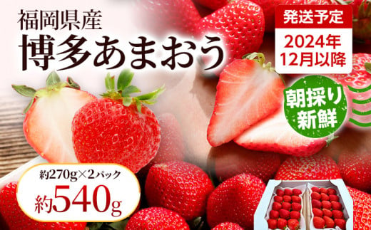 【先行受付】農家直送 朝採り新鮮いちご【博多あまおう】＜12月より順次発送＞ 約270g×2パック 福岡県産 苺 イチゴ 朝採れ 冷蔵 スイーツ ジュース ギフト プレゼント お土産 九州 福岡土産 ※北海道・沖縄・離島は配送不可 883901 - 福岡県田川市