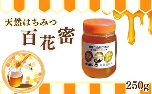 天然はちみつ「百花蜜」250g 581528 - 徳島県吉野川市