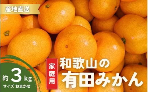 【1月発送】ご家庭用 有田みかん 和歌山 S～Lサイズ 大きさお任せ 3kg / みかん フルーツ 果物 くだもの 有田みかん 蜜柑 柑橘【ktn006A-1】 1186181 - 和歌山県串本町