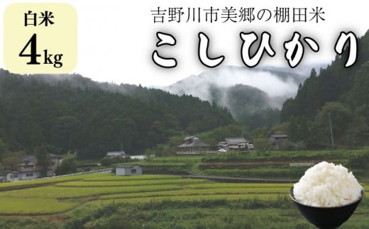 吉野川市美郷の棚田米(コシヒカリ:白米4kg) 581220 - 徳島県吉野川市