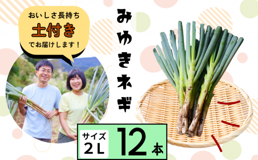 【期間限定】土付きねぎ 白ねぎ みゆきネギ １２本(P-09) 1476138 - 長野県飯山市