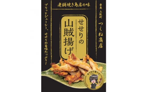 ＜老舗焼き鳥屋＞鶏の希少部位を惜しげなく使用した大ヒットメニュー自信作の詰め合わせ　鶏大好きセット【1320586】 2004323 - 奈良県上牧町