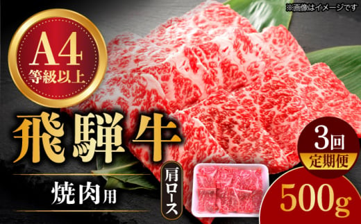 【3回定期便】 飛騨牛 焼肉用 ロース・肩ロース 500g A4等級以上  多治見市 / 渡辺精肉店 和牛 ブランド牛 牛肉 [TAZ031] 1475924 - 岐阜県多治見市