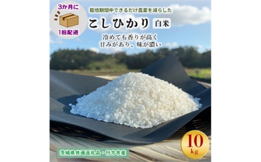 ＜3ヵ月毎定期便＞栽培期間中できるだけ農薬を減らすこしひかり白米10kg茨城共通返礼品行方産全4回【4055852】 1478143 - 茨城県潮来市