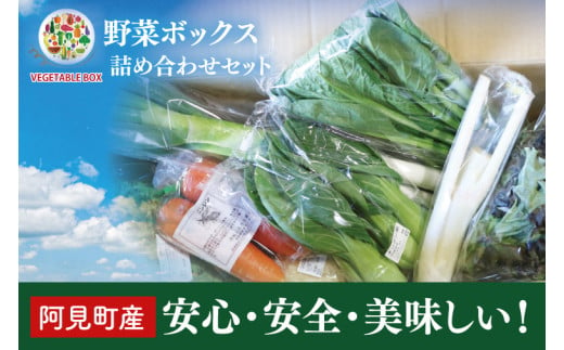 04-05 阿見町産野菜ボックス詰め合わせセット（7～8品）【新鮮 美味しい EM菌 減農薬 有機肥料 阿見町 茨城県】 1476369 - 茨城県阿見町