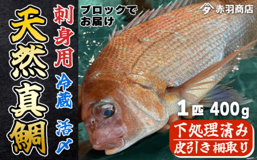 刺身用 天然 真鯛 400g (2～3人前) 処理済 アラ付き 皮引き 柵取り 1匹分 鮮魚 冷蔵 南知多町産 さしみ 海鮮 新鮮 魚介 海の幸 魚 鯛 さかな マダイ タイ 刺し身 国産 人気 おすすめ ふるさと納税鯛 ふるさと納税タイ 愛知県 南知多町 1537951 - 愛知県南知多町