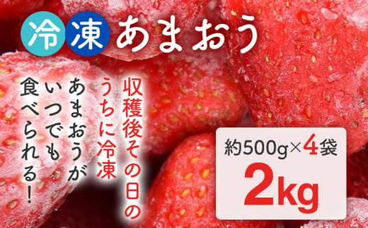 福岡県産【博多冷凍あまおう】  約2kg  産地直送 産直 朝採れ 朝採り 新鮮 瞬間冷凍 いちご イチゴ 苺 お取り寄せグルメ お取り寄せ 福岡 お土産 九州 福岡土産 取り寄せ グルメ 福岡県 ※北海道・沖縄・離島は配送不可 1120417 - 福岡県田川市
