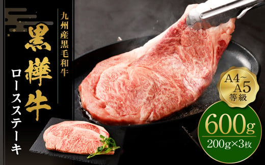 ステーキ 牛肉 A4~A5 計600g （200g×3）  BBQ  ビーフ ロース アウトドア おかず 肉 キャンプ すてーき 和牛 黒毛和牛 冷凍 熊本県産 九州産 国産 九州産黒毛和牛 杉本本店 黒樺牛 A4~A5等級  ロースステーキ 200g×3 計600g