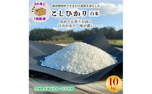 ＜3ヵ月毎定期便＞栽培期間中できるだけ農薬を減らすこしひかり白米10kg茨城共通返礼品行方産全3回【4055854】 1478145 - 茨城県潮来市