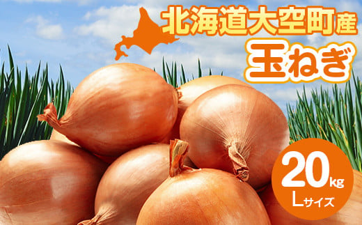 玉ねぎ Lサイズ 20kg 大空町産 【 ふるさと納税 人気 おすすめ ランキング たまねぎ 玉ねぎ タマネギ 20kg L サイズ 甘い カレー 北海道産 野菜 旬 北海道 大空町 送料無料 】 OSR009