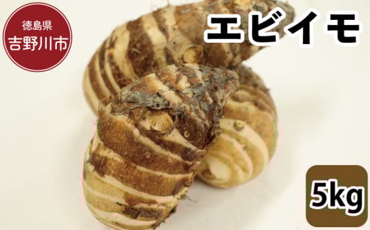 エビイモ 5kg 2024年10月上旬～発送予定 先行予約開始！ 581190 - 徳島県吉野川市