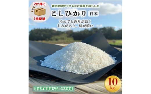 ＜2ヵ月毎定期便＞栽培期間中できるだけ農薬を減らすこしひかり白米10kg茨城共通返礼品行方産全6回【4055851】 1478142 - 茨城県潮来市