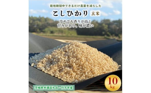 ＜毎月定期便＞栽培期間中できるだけ農薬を減らす こしひかり玄米10kg茨城共通返礼品行方産全12回【4055848】 1478139 - 茨城県潮来市