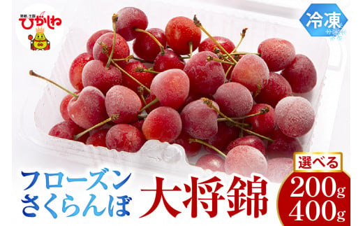 ≪内容量が選べる≫ フローズンさくらんぼ「大将錦」200g入[1パック・2パック]有限会社佐藤錦提供 山形県 東根市 hi004-hi029-016r-o