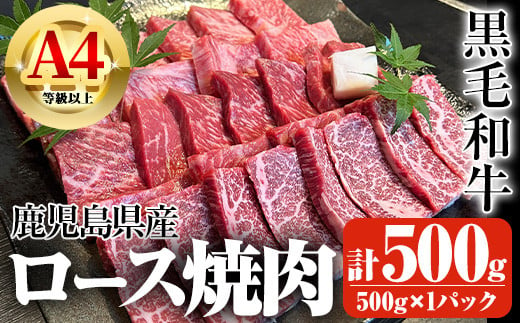 鹿児島県産A4等級以上黒毛和牛・ロース不揃い切り落とし焼肉 計500g(500g×1パック) 鹿児島県産 黒毛和牛 切り落とし[ビーフ倉薗]